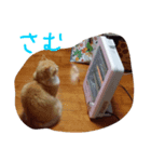 にゃー時々るなくま（個別スタンプ：6）