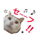 みんな大好きしゅうちゃん（個別スタンプ：4）