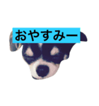 ジャスミンと仲間たち（個別スタンプ：2）