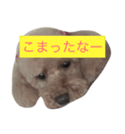 ジャスミンと仲間たち（個別スタンプ：3）
