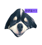 ジャスミンと仲間たち（個別スタンプ：4）
