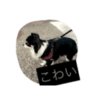 ジャスミンと仲間たち（個別スタンプ：8）