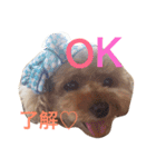 もこみファミリー（個別スタンプ：4）