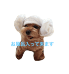 もこみファミリー（個別スタンプ：15）