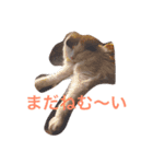 がんばりません（個別スタンプ：3）