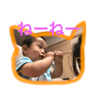 KOTA-3（個別スタンプ：13）