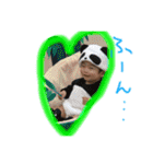 KOTA-3（個別スタンプ：16）