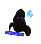 ぽりちゃんスタンプ（個別スタンプ：2）