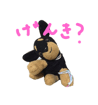 ぽりちゃんスタンプ（個別スタンプ：5）