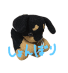 ぽりちゃんスタンプ（個別スタンプ：7）
