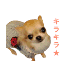夏の陣♡（個別スタンプ：32）