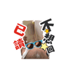 Shine part2（個別スタンプ：10）