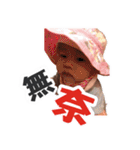 Shine part2（個別スタンプ：40）