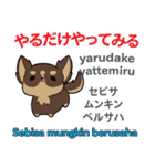 犬の毎日 日本語インドネシア語（個別スタンプ：6）