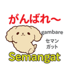 犬の毎日 日本語インドネシア語（個別スタンプ：9）