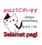 猫の毎日 日本語インドネシア語（個別スタンプ：1）