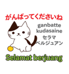 猫の毎日 日本語インドネシア語（個別スタンプ：5）