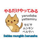 猫の毎日 日本語インドネシア語（個別スタンプ：6）