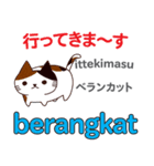 猫の毎日 日本語インドネシア語（個別スタンプ：7）