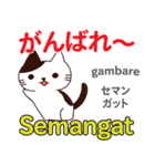 猫の毎日 日本語インドネシア語（個別スタンプ：9）