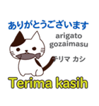 猫の毎日 日本語インドネシア語（個別スタンプ：13）