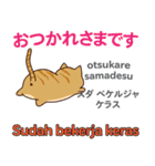 猫の毎日 日本語インドネシア語（個別スタンプ：14）