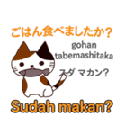 猫の毎日 日本語インドネシア語（個別スタンプ：15）