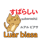 猫の毎日 日本語インドネシア語（個別スタンプ：34）