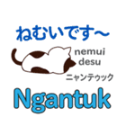 猫の毎日 日本語インドネシア語（個別スタンプ：37）