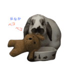 うさぎのちむ（個別スタンプ：3）