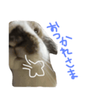 うさぎのちむ（個別スタンプ：8）