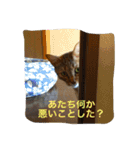 きなこの毎日（個別スタンプ：4）