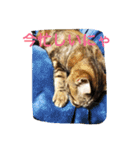 きなこの毎日（個別スタンプ：10）