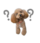 仲良しなのか？（個別スタンプ：4）