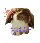 仲良しなのか？（個別スタンプ：6）