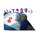 仲良しなのか？（個別スタンプ：7）