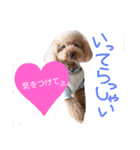 仲良しなのか？（個別スタンプ：8）