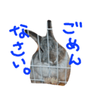 仲良しなのか？（個別スタンプ：11）