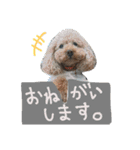 仲良しなのか？（個別スタンプ：12）