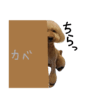仲良しなのか？（個別スタンプ：13）