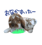 仲良しなのか？（個別スタンプ：15）