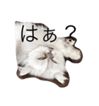 楽しい家族（個別スタンプ：3）
