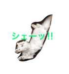 楽しい家族（個別スタンプ：12）