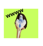 インコと犬（個別スタンプ：6）
