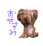 サニーの日常（個別スタンプ：1）