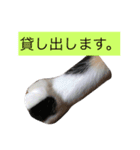 藤城1（個別スタンプ：4）