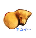 ミアの大冒険（個別スタンプ：8）