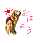ばると（個別スタンプ：3）