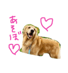 ばると（個別スタンプ：5）