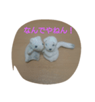 Tyutarou2（個別スタンプ：14）